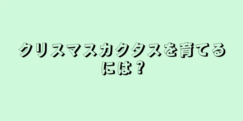 クリスマスカクタスを育てるには？