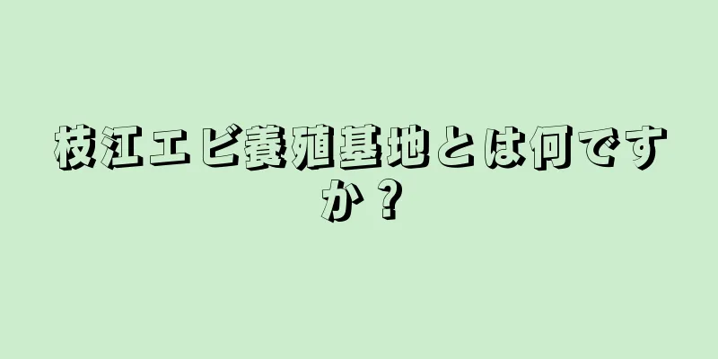 枝江エビ養殖基地とは何ですか？