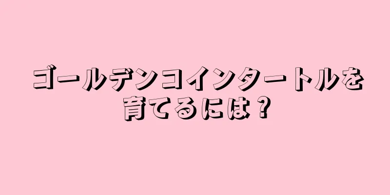 ゴールデンコインタートルを育てるには？
