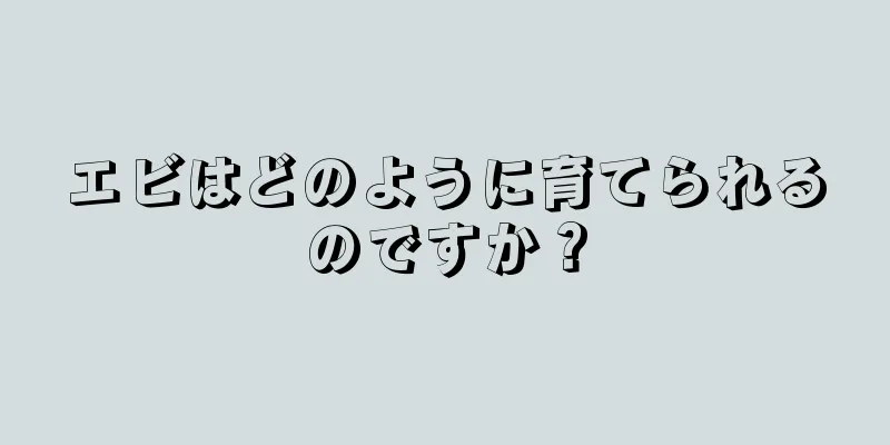 エビはどのように育てられるのですか？