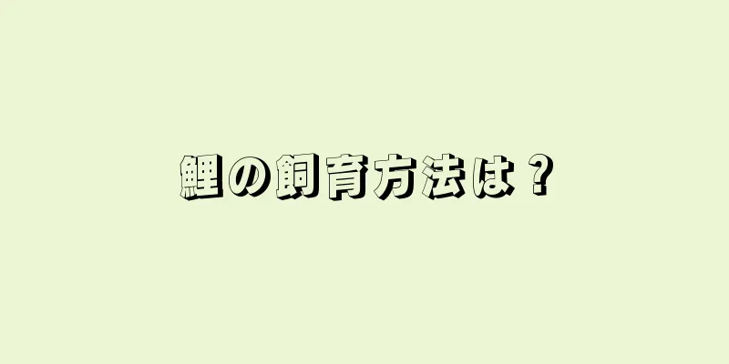 鯉の飼育方法は？