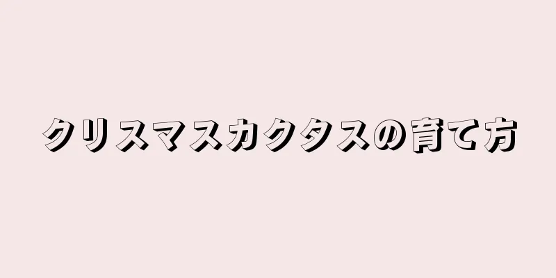 クリスマスカクタスの育て方