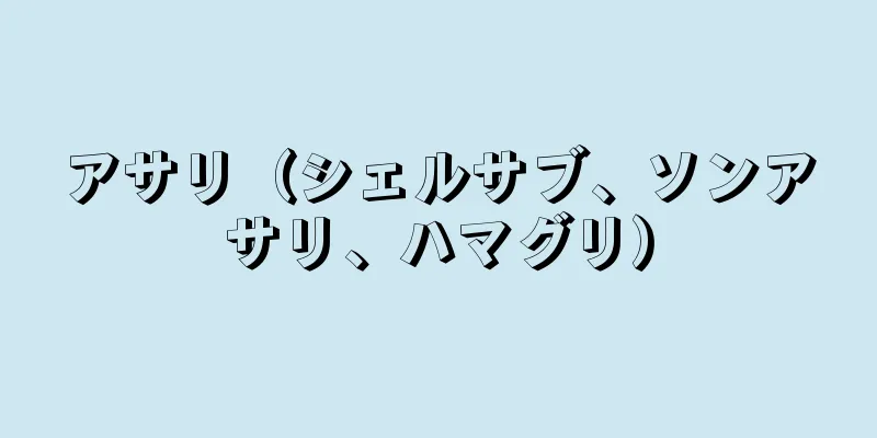 アサリ（シェルサブ、ソンアサリ、ハマグリ）