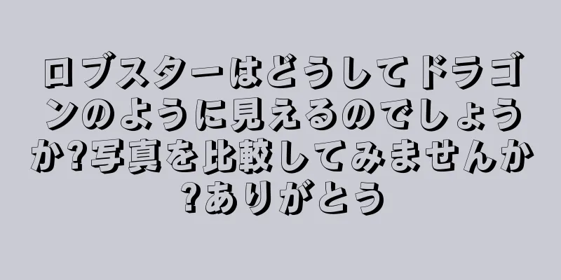 ロブスターはどうしてドラゴンのように見えるのでしょうか?写真を比較してみませんか?ありがとう