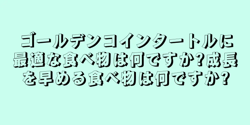 ゴールデンコインタートルに最適な食べ物は何ですか?成長を早める食べ物は何ですか?