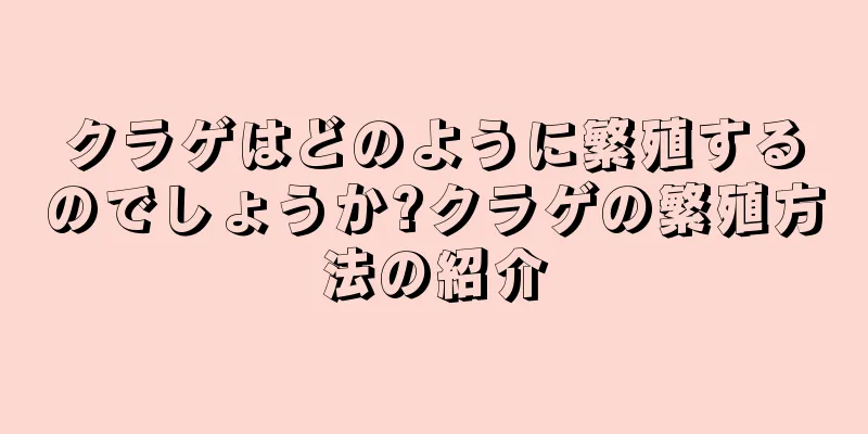 クラゲはどのように繁殖するのでしょうか?クラゲの繁殖方法の紹介
