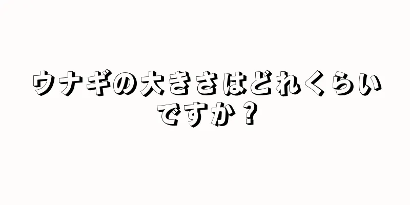 ウナギの大きさはどれくらいですか？
