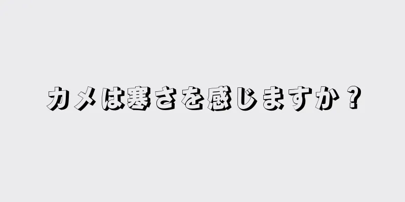 カメは寒さを感じますか？