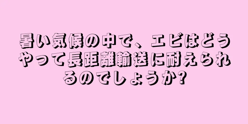 暑い気候の中で、エビはどうやって長距離輸送に耐えられるのでしょうか?