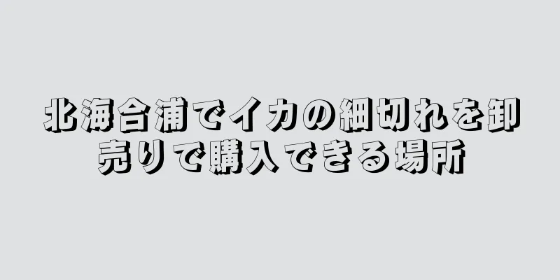 北海合浦でイカの細切れを卸売りで購入できる場所