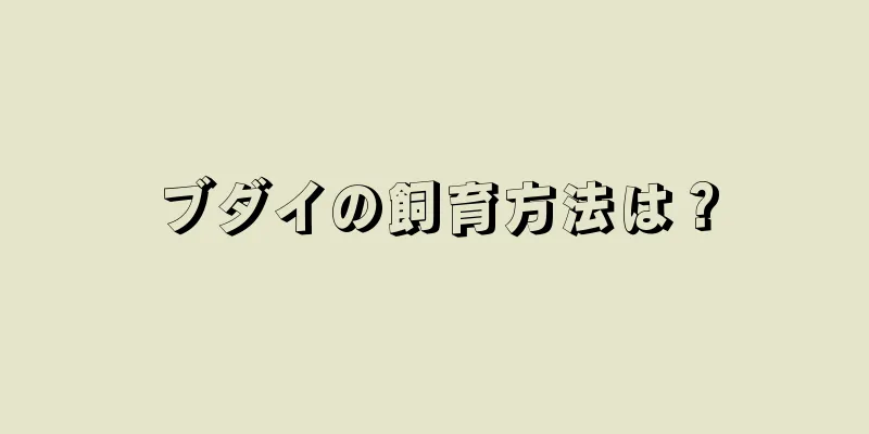 ブダイの飼育方法は？