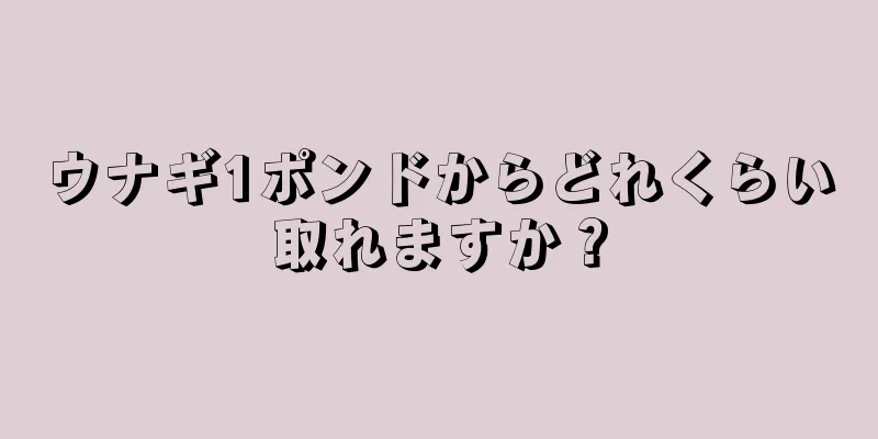 ウナギ1ポンドからどれくらい取れますか？