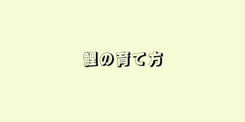 鯉の育て方