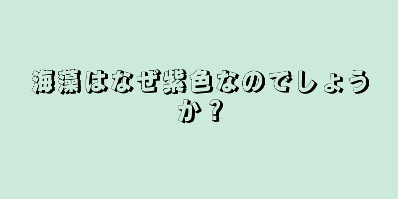 海藻はなぜ紫色なのでしょうか？