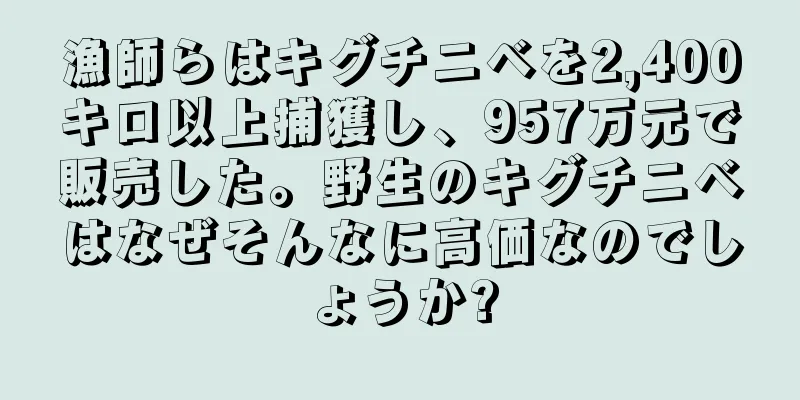 漁師らはキグチニベを2,400キロ以上捕獲し、957万元で販売した。野生のキグチニベはなぜそんなに高価なのでしょうか?