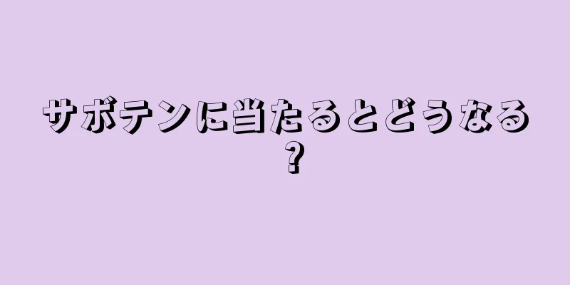 サボテンに当たるとどうなる？