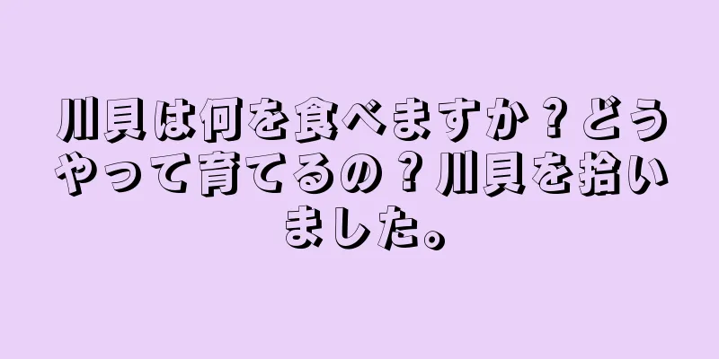 川貝は何を食べますか？どうやって育てるの？川貝を拾いました。