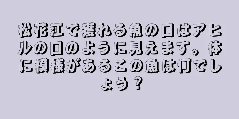 松花江で獲れる魚の口はアヒルの口のように見えます。体に模様があるこの魚は何でしょう？