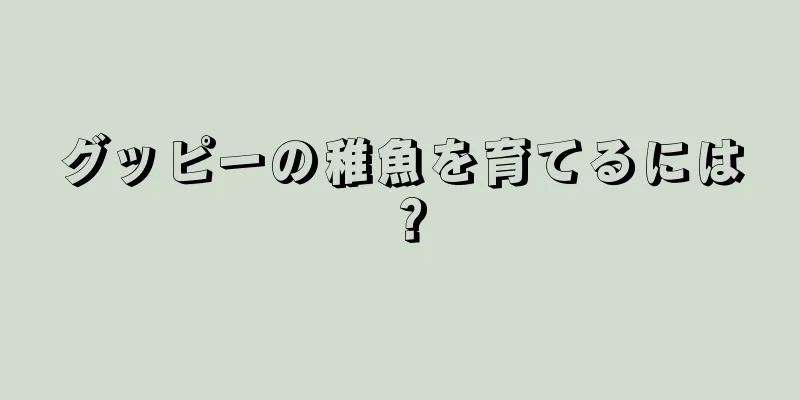 グッピーの稚魚を育てるには？