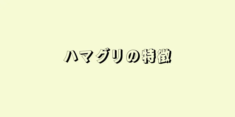 ハマグリの特徴