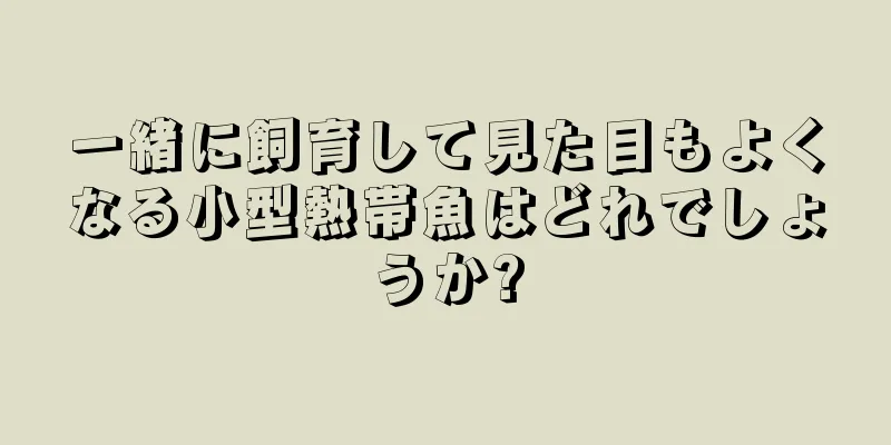 一緒に飼育して見た目もよくなる小型熱帯魚はどれでしょうか?