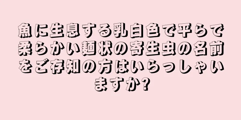 魚に生息する乳白色で平らで柔らかい麺状の寄生虫の名前をご存知の方はいらっしゃいますか?