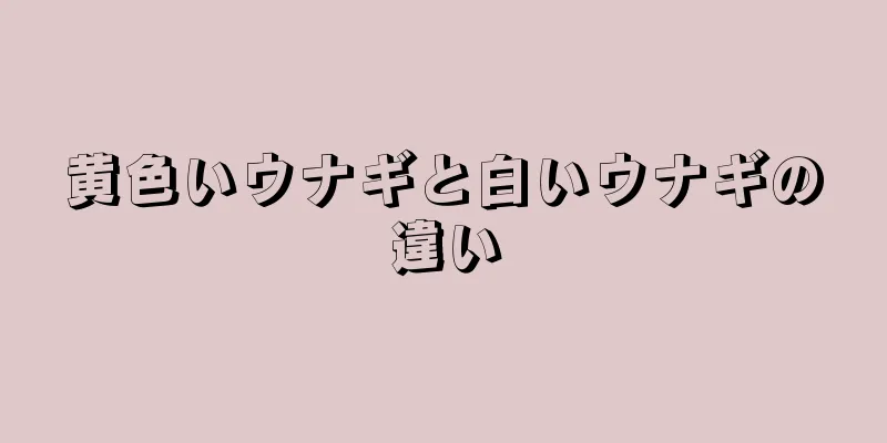 黄色いウナギと白いウナギの違い