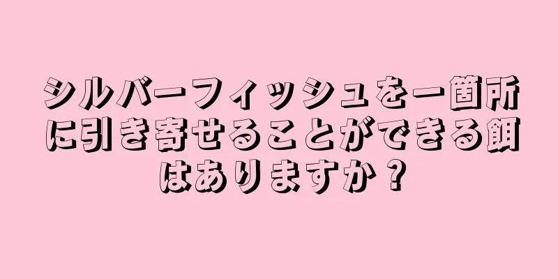 シルバーフィッシュを一箇所に引き寄せることができる餌はありますか？