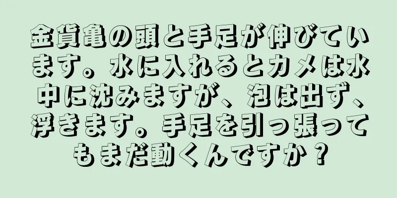 金貨亀の頭と手足が伸びています。水に入れるとカメは水中に沈みますが、泡は出ず、浮きます。手足を引っ張ってもまだ動くんですか？