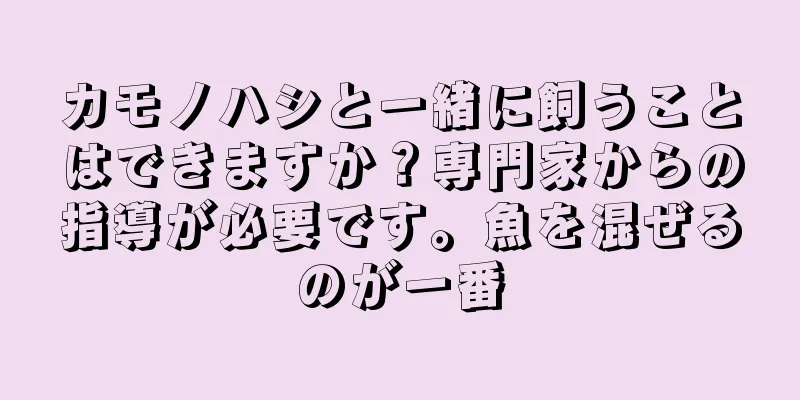 カモノハシと一緒に飼うことはできますか？専門家からの指導が必要です。魚を混ぜるのが一番