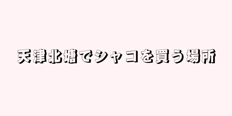 天津北塘でシャコを買う場所
