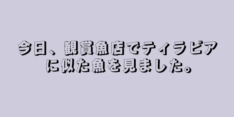 今日、観賞魚店でティラピアに似た魚を見ました。