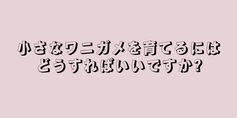 小さなワニガメを育てるにはどうすればいいですか?