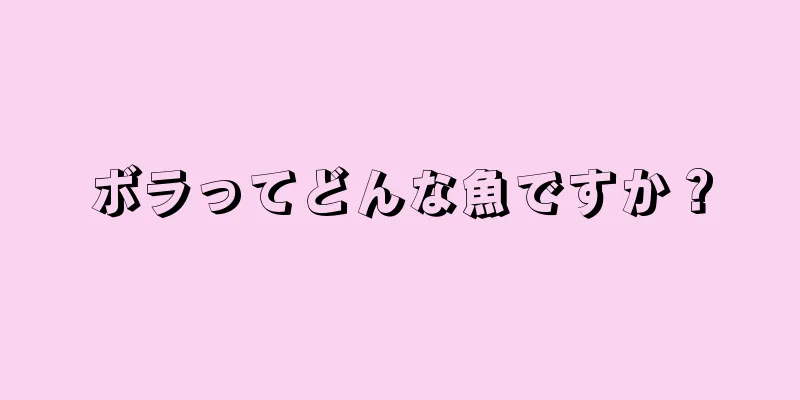 ボラってどんな魚ですか？