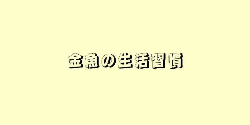金魚の生活習慣