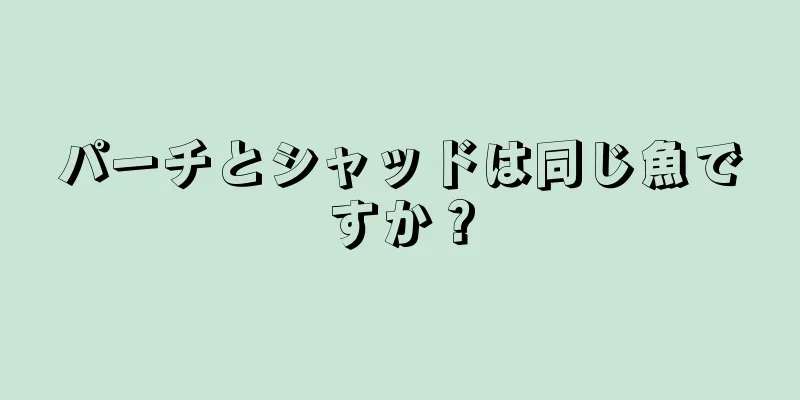 パーチとシャッドは同じ魚ですか？