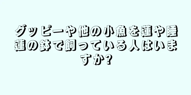 グッピーや他の小魚を蓮や睡蓮の鉢で飼っている人はいますか?