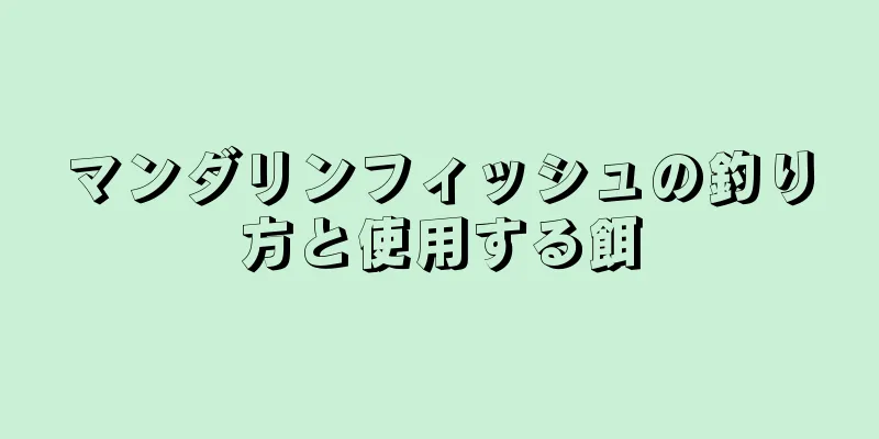 マンダリンフィッシュの釣り方と使用する餌