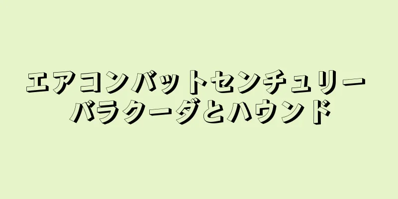 エアコンバットセンチュリー バラクーダとハウンド