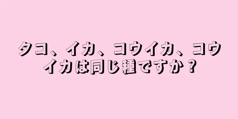 タコ、イカ、コウイカ、コウイカは同じ種ですか？