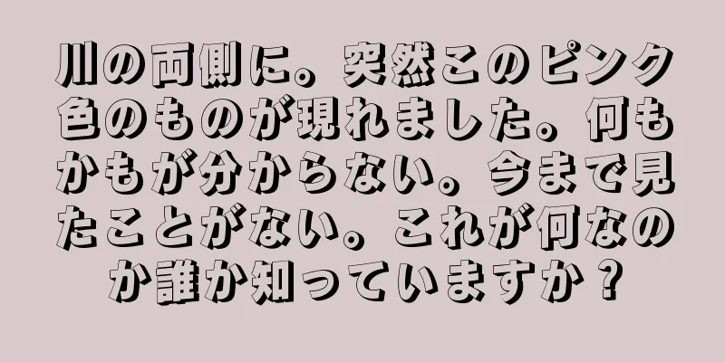 川の両側に。突然このピンク色のものが現れました。何もかもが分からない。今まで見たことがない。これが何なのか誰か知っていますか？