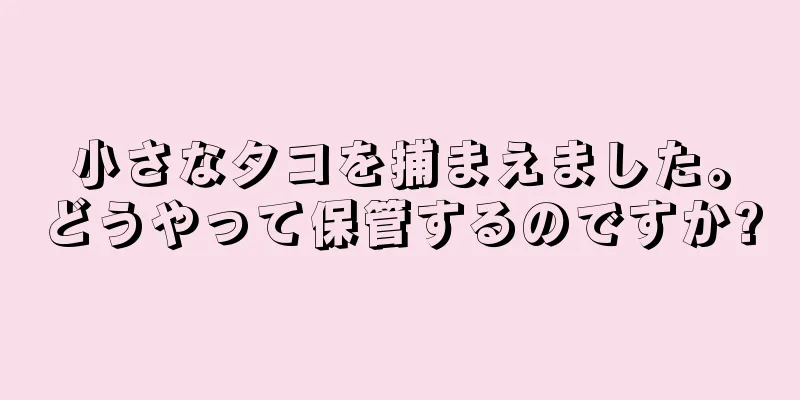 小さなタコを捕まえました。どうやって保管するのですか?