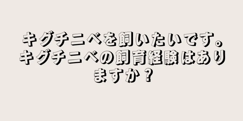 キグチニベを飼いたいです。キグチニベの飼育経験はありますか？