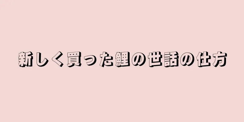 新しく買った鯉の世話の仕方