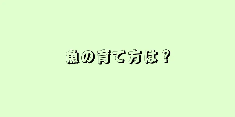 魚の育て方は？