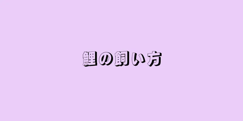 鯉の飼い方