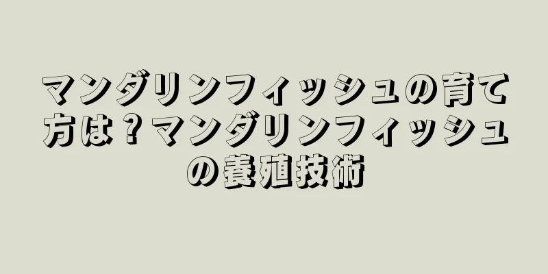 マンダリンフィッシュの育て方は？マンダリンフィッシュの養殖技術