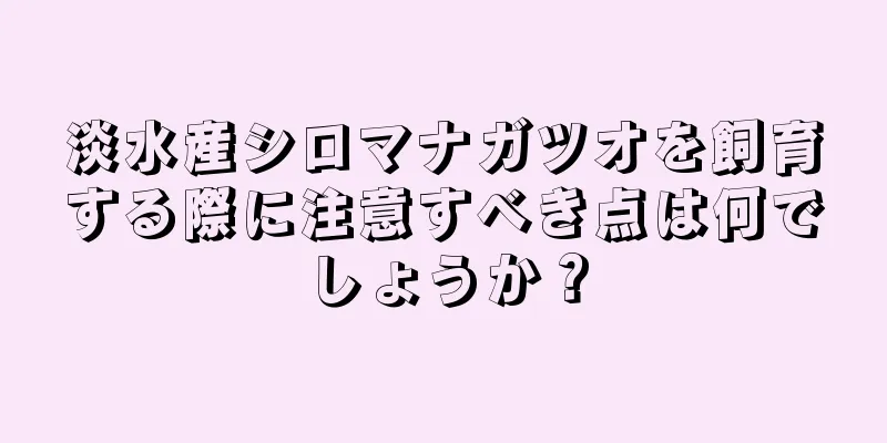 淡水産シロマナガツオを飼育する際に注意すべき点は何でしょうか？
