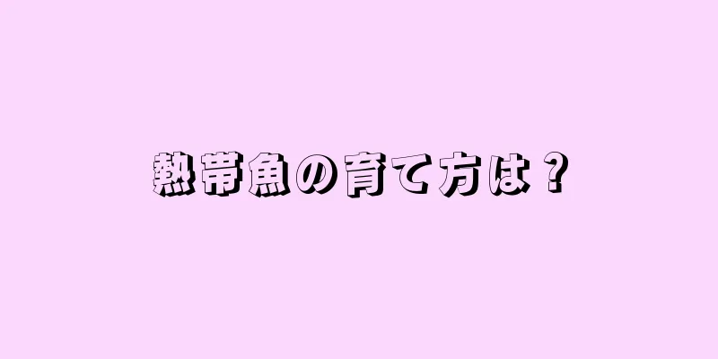 熱帯魚の育て方は？