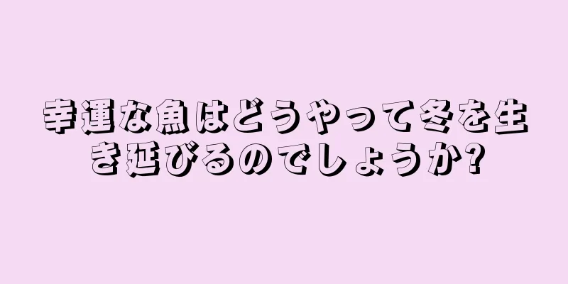 幸運な魚はどうやって冬を生き延びるのでしょうか?
